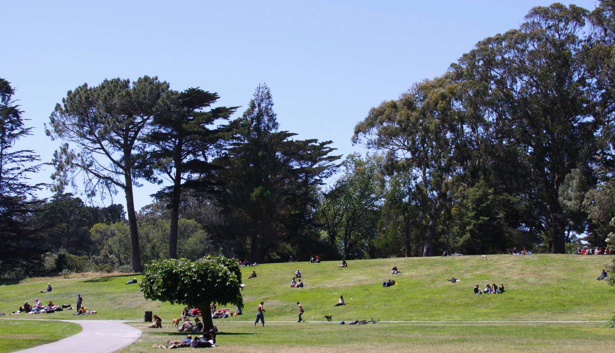 Hippie Hill Golden Gate Park