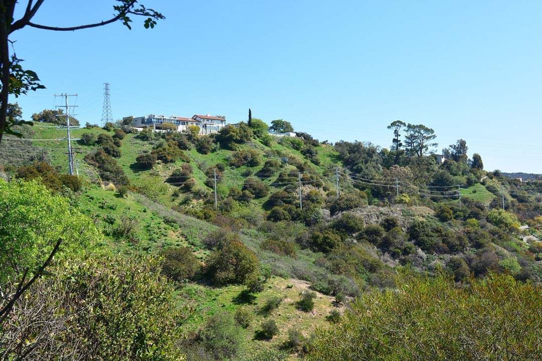 Laurel Canyon